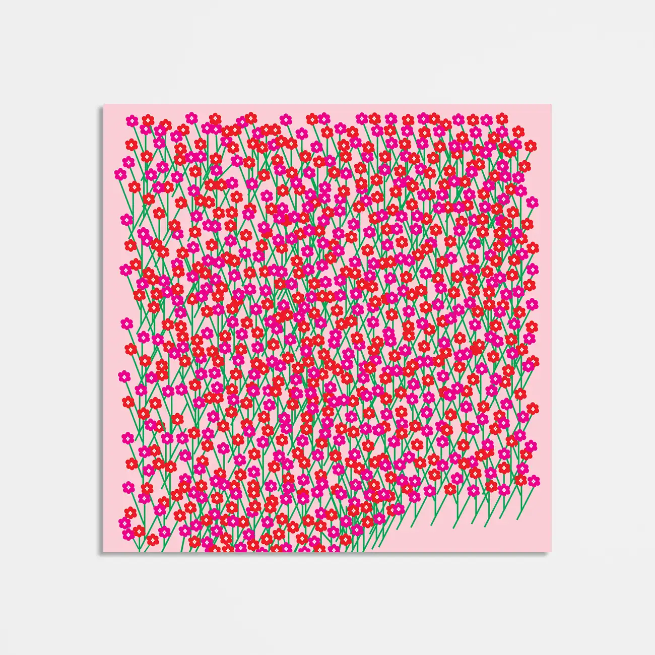 Bloom
